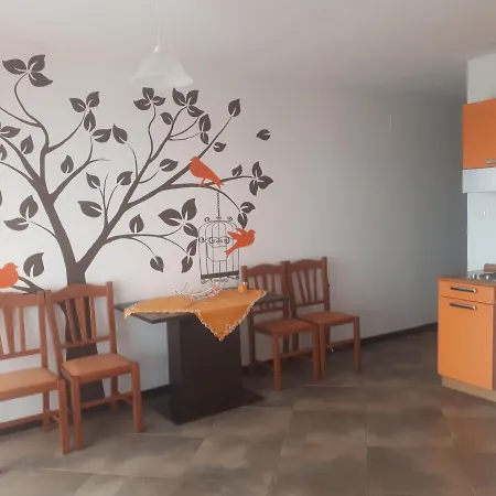 Adriana F. Apartman *