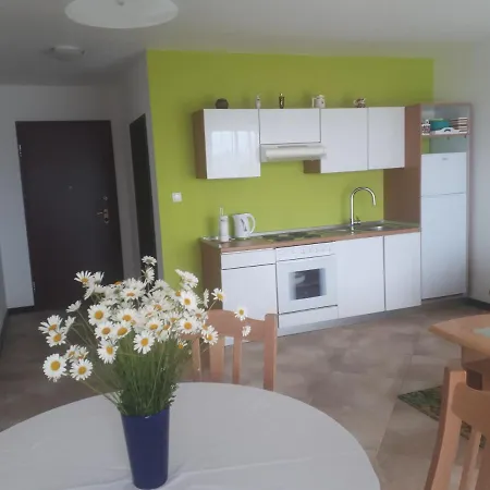 Adriana F. Apartman *
